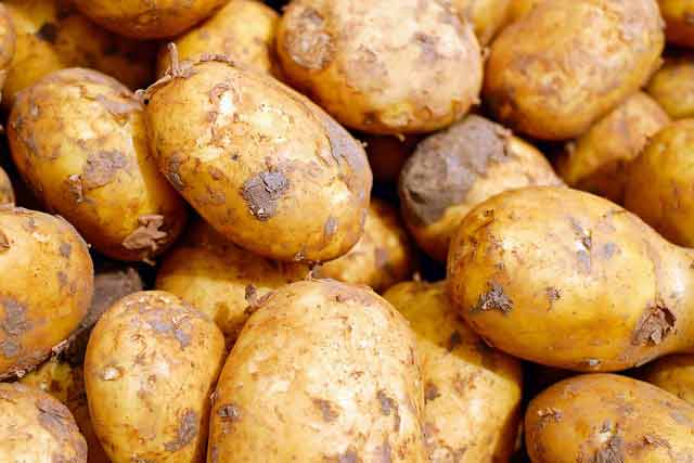 potatoe growing